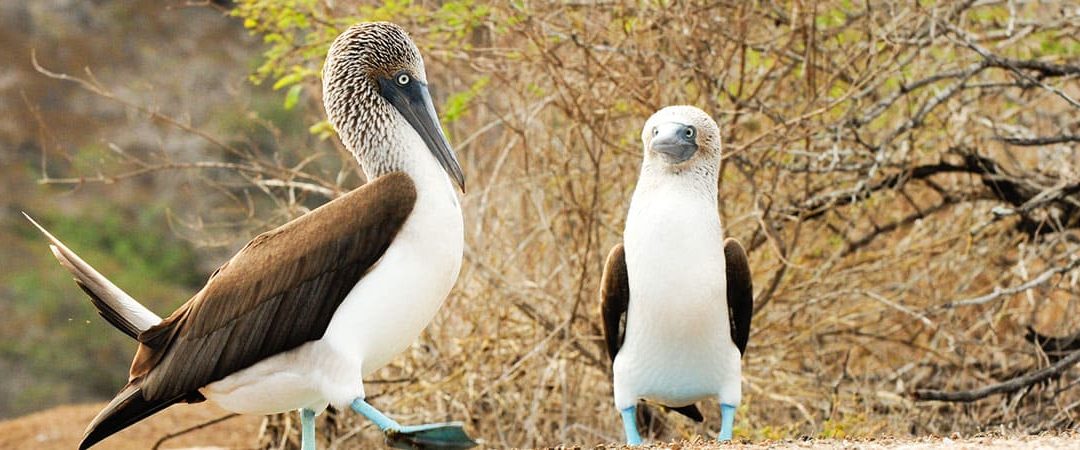 Agenda de eventos ejemplo