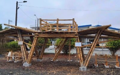 Innovadores promueven alternativas para construcciones sostenibles en Galápagos (II)
