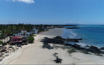 Boletín Informativo 03 «Liderazgo del CGREG en el Proyecto Living Lab de Edificación Sostenible»