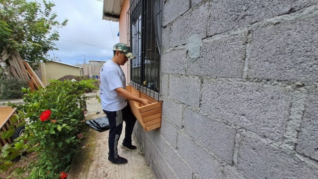 Prototipo Cortina Verde