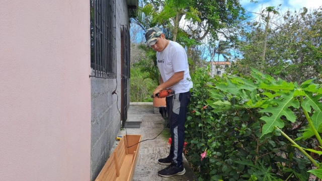 Prototipo Cortina Verde