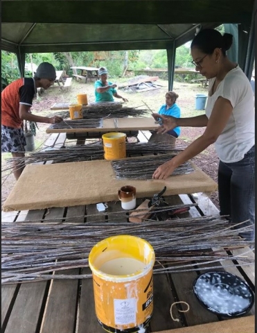 Sistema térmico vegetal 4