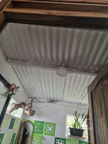 Sistema térmico vegetal 1