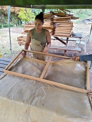 Sistema térmico vegetal 3